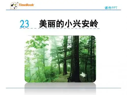 人教版语文三年级上册23 《美丽的小兴安岭》课件
