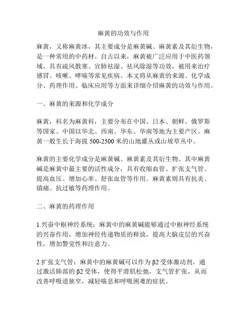 麻黄的功效与作用