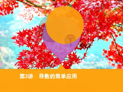 高考数学二轮复习第3讲导数的简单应用课件理