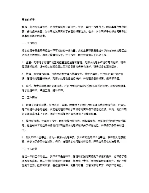 污水处理专员个人工作述职报告