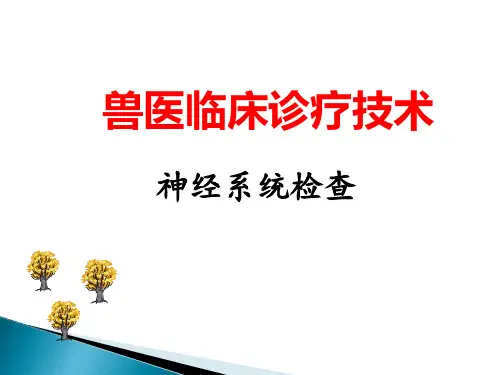 兽医临床诊断技术-神经系统检查