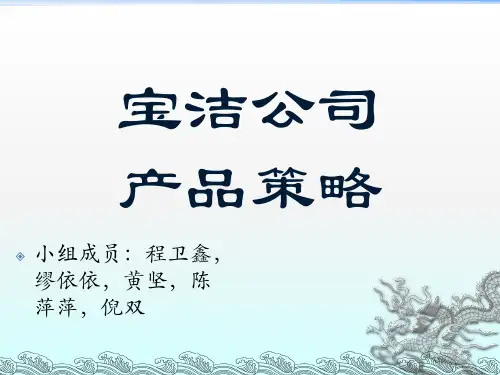 宝洁公司产品策略ppt课件