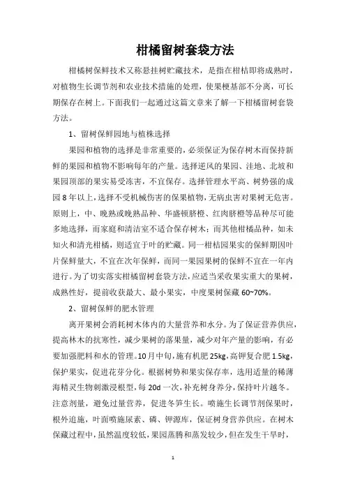 柑橘留树套袋方法