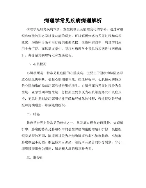 病理学常见疾病病理解析