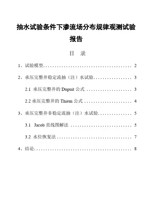 抽水试验条件下渗流场分布规律观测试验报告