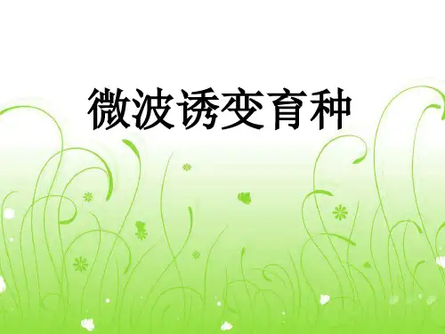 微波诱变育种