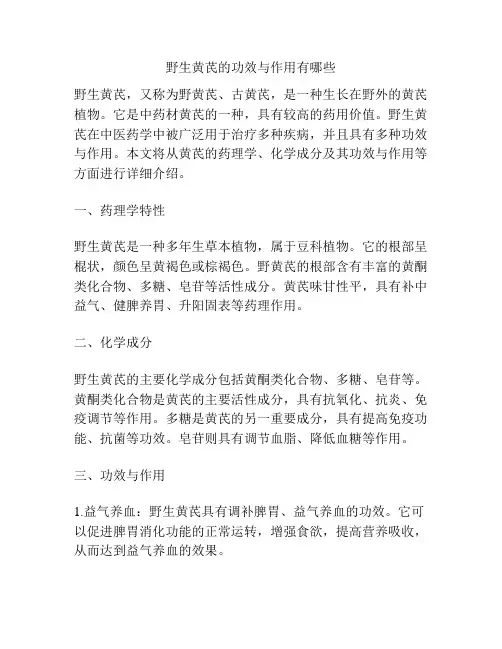野生黄芪的功效与作用有哪些