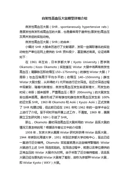自发性高血压大鼠模型详细介绍