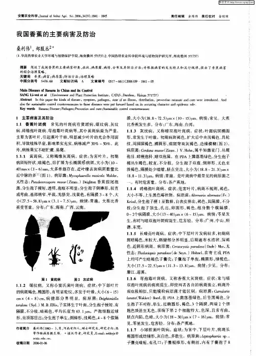 我国香蕉的主要病害及防治