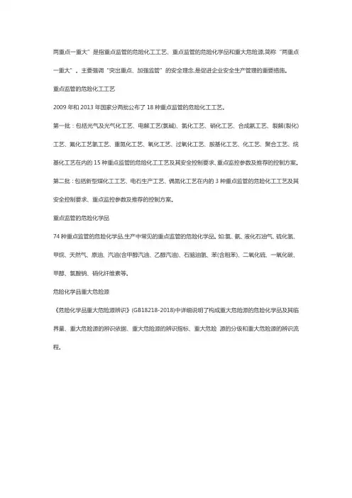 两重点一重大是指什么