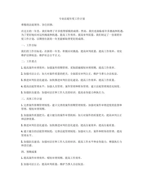 专业法庭年度工作计划