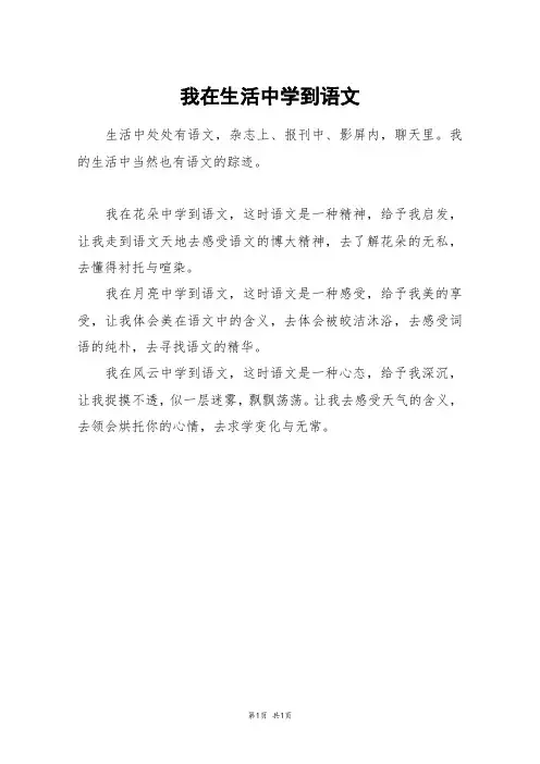 我在生活中学到语文_二年级作文