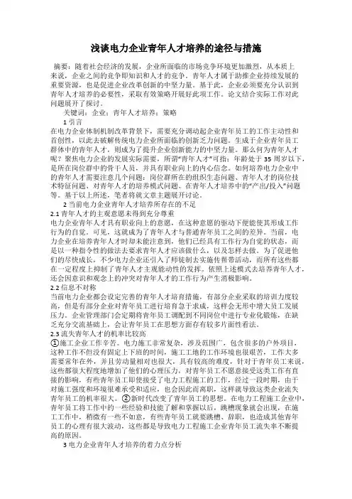 浅谈电力企业青年人才培养的途径与措施
