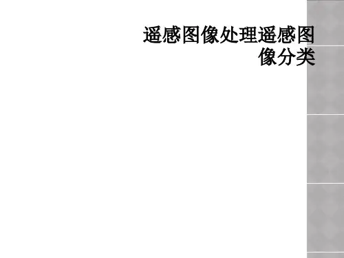 遥感图像处理遥感图像分类