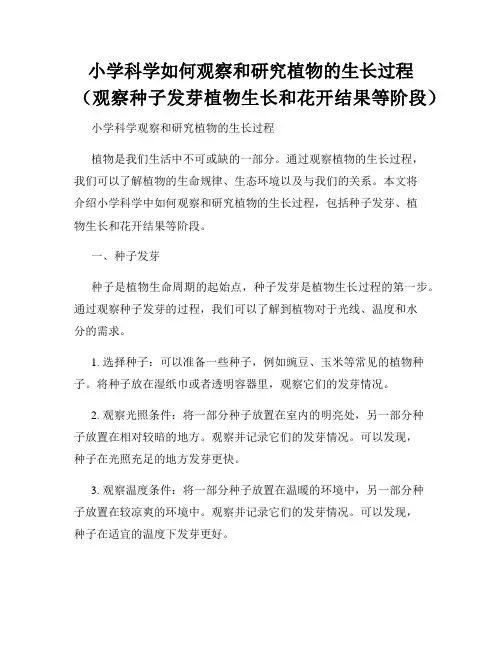 小学科学如何观察和研究植物的生长过程(观察种子发芽植物生长和花开结果等阶段)
