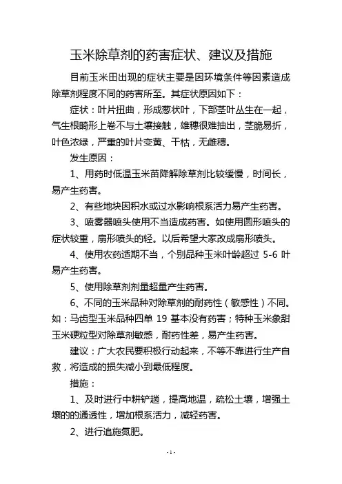 玉米除草剂的药害症状、建议及措施