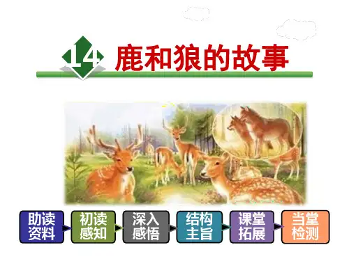 六年级上册语文课件-14.鹿和狼的故事-人教新课标 (共36张PPT)