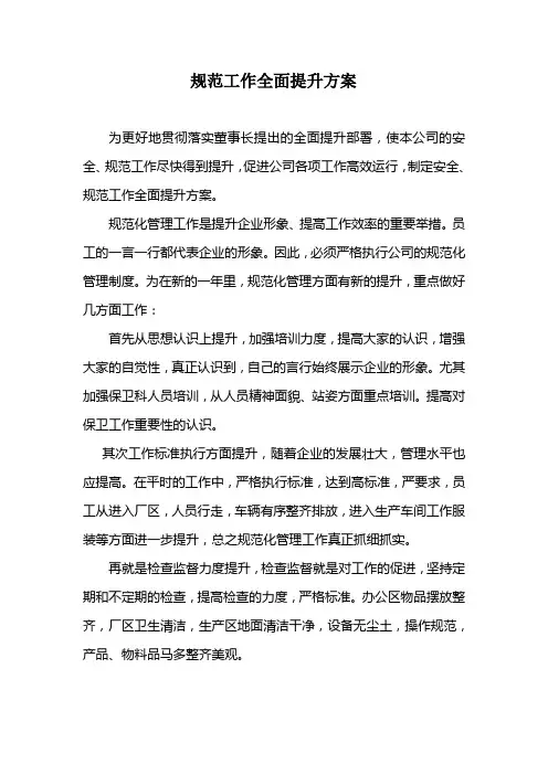 规范提升方案
