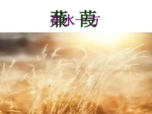 人教版九年级下册第六单元第24课《蒹葭》教学实录