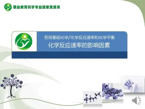 化学反应速率的影响因素.