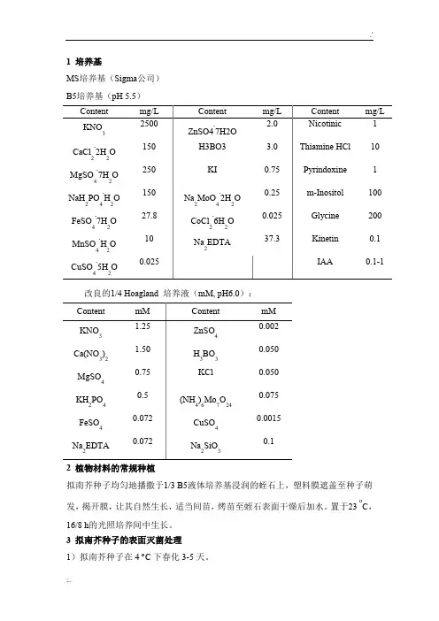 拟南芥种植及处理基本方法