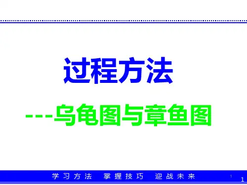 IATF过程方法乌龟图与章鱼图ppt课件