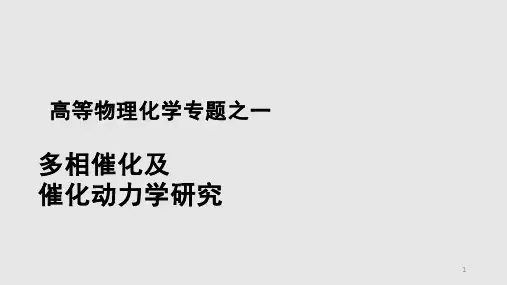 多相催化与催化动力学PPT学习课件