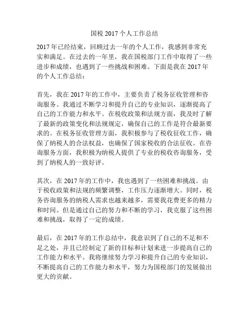 国税2017个人工作总结