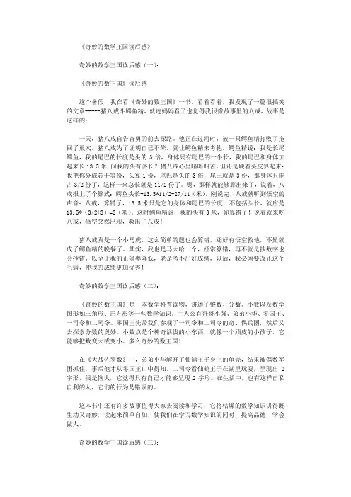 奇妙的数学王国读后感10篇