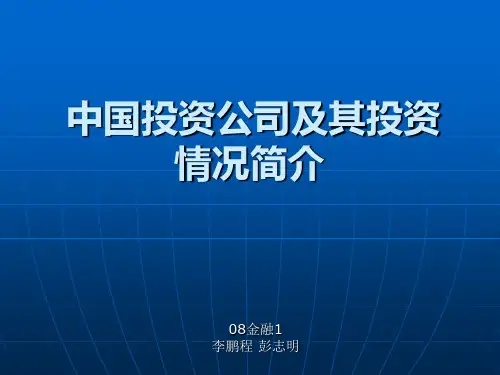 ppt-中投公司及其投资情况