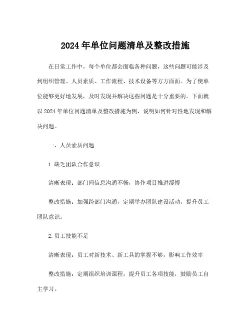 2024年单位问题清单及整改措施
