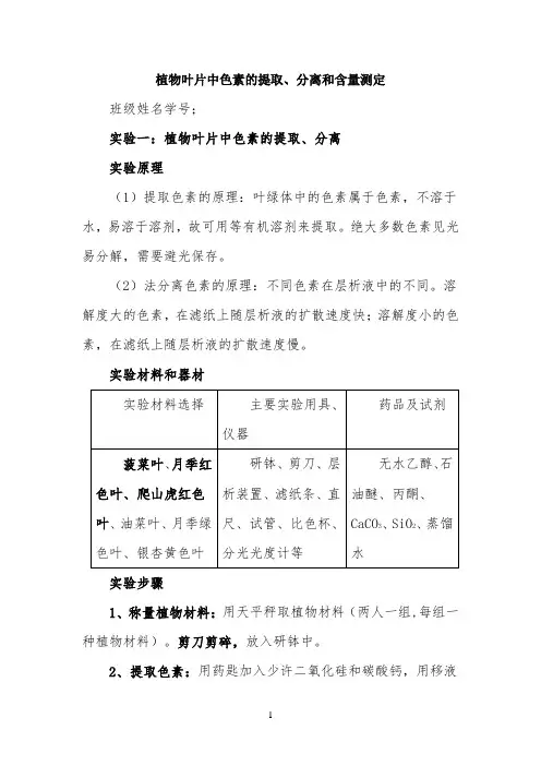 实验报告：绿叶中色素的提取、分离和含量测定