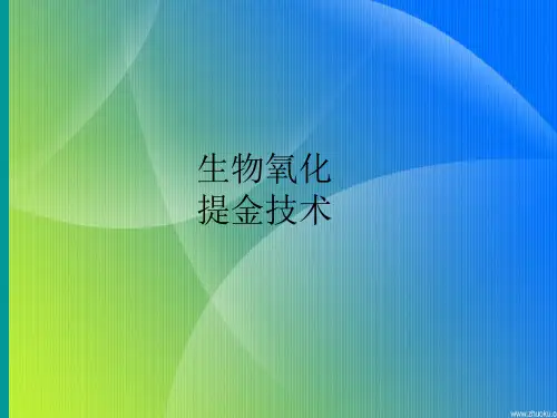 生物氧化提金技术