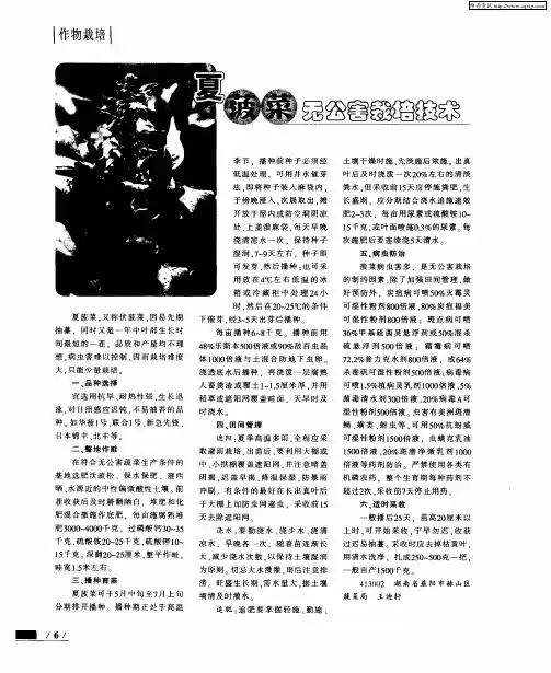 夏菠菜无公害栽培技术