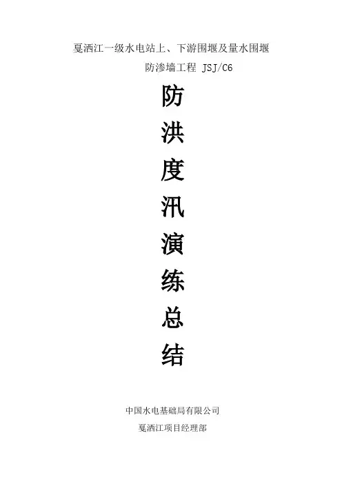 2017防洪度汛演练总结