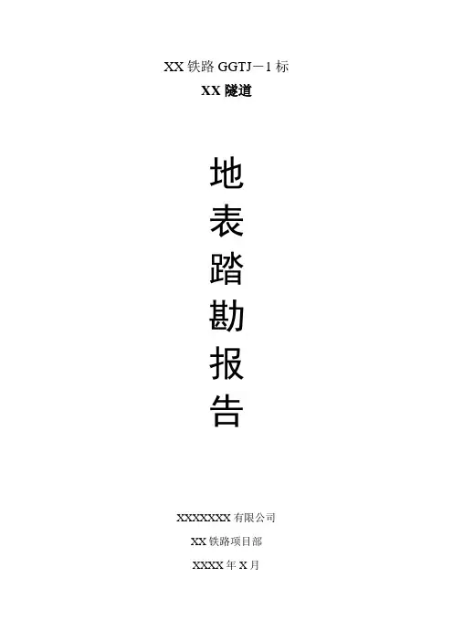 隧道踏勘报告