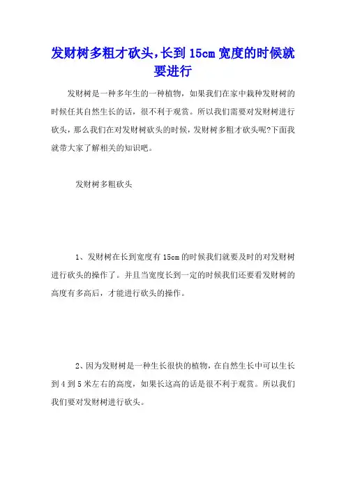 发财树多粗才砍头,长到15cm宽度的时候就要进行