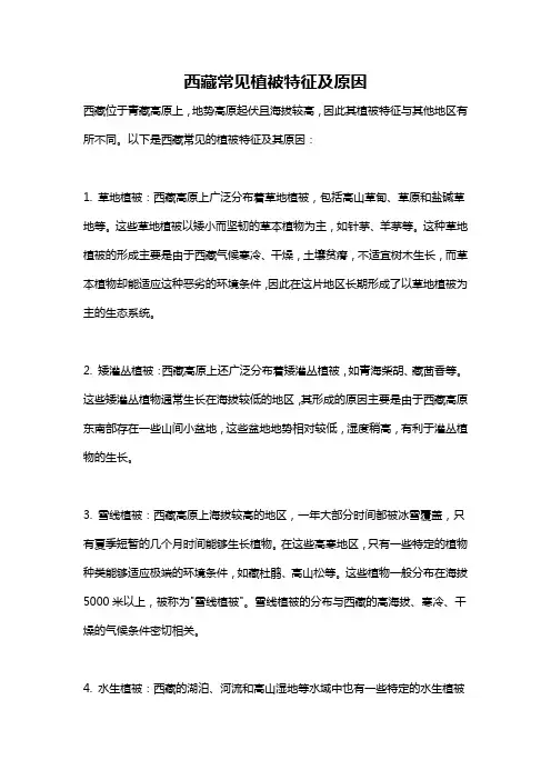 西藏常见植被特征及原因