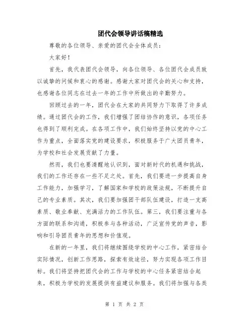 团代会领导讲话稿精选