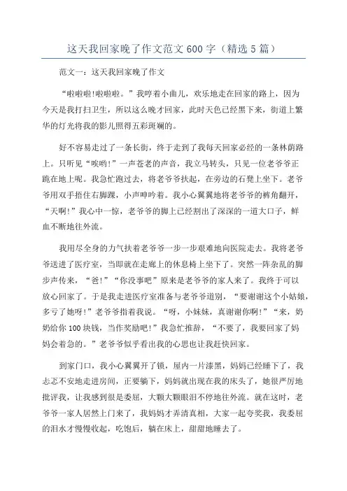 这天我回家晚了作文范文600字(精选5篇)