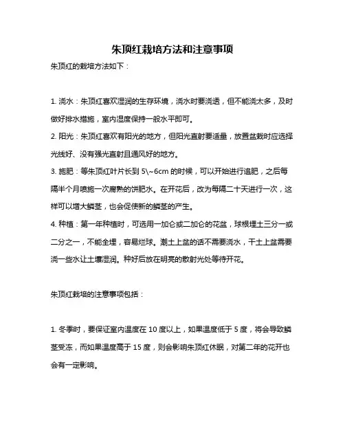 朱顶红栽培方法和注意事项