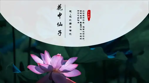 荷花中国风模板PPT