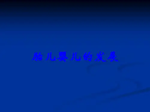 胎儿婴儿的发展