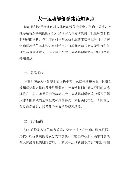 大一运动解剖学绪论知识点