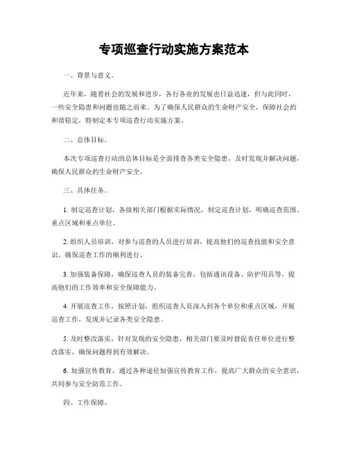 专项巡查行动实施方案范本
