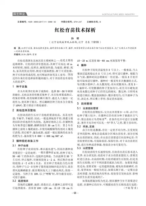 红松育苗技术探析