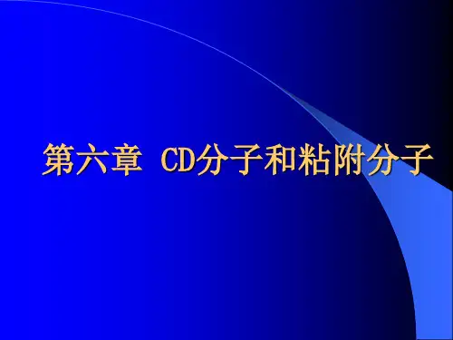 CD分子和粘附分子