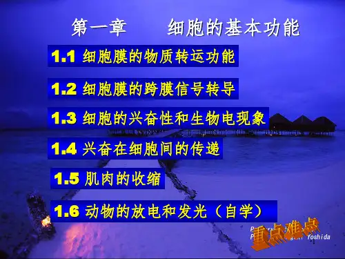 g动物生理学PPT课件