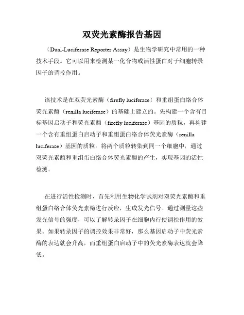 双荧光素酶报告基因