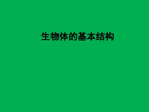 苏科版七年级下册生物课件：4.8.1生物体的基本结构(共18张PPT)